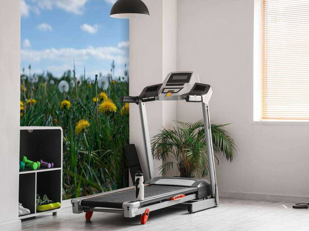 Denti di leone gialli