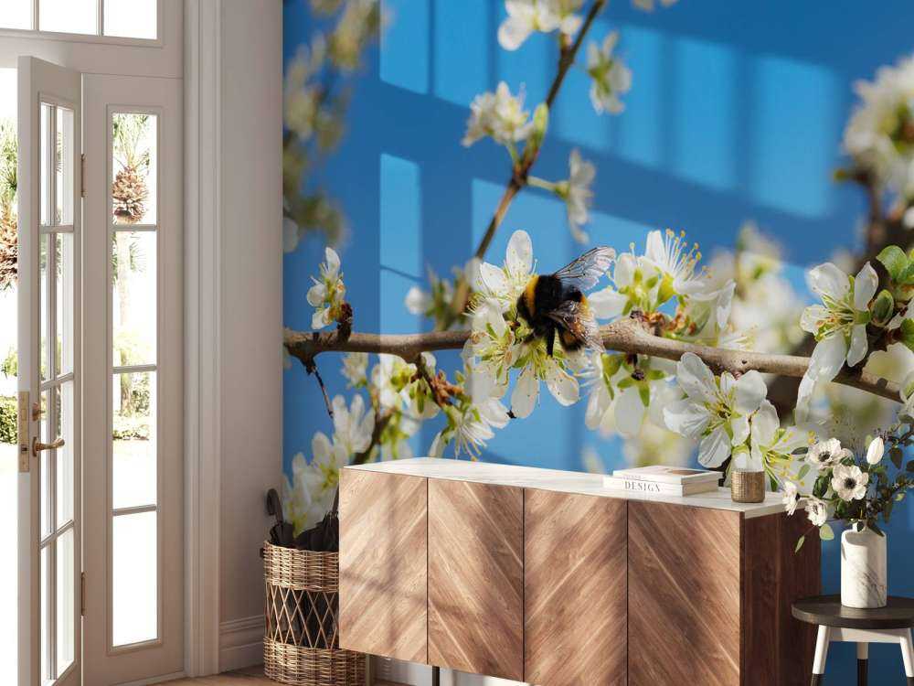 Bombo con fiori bianchi