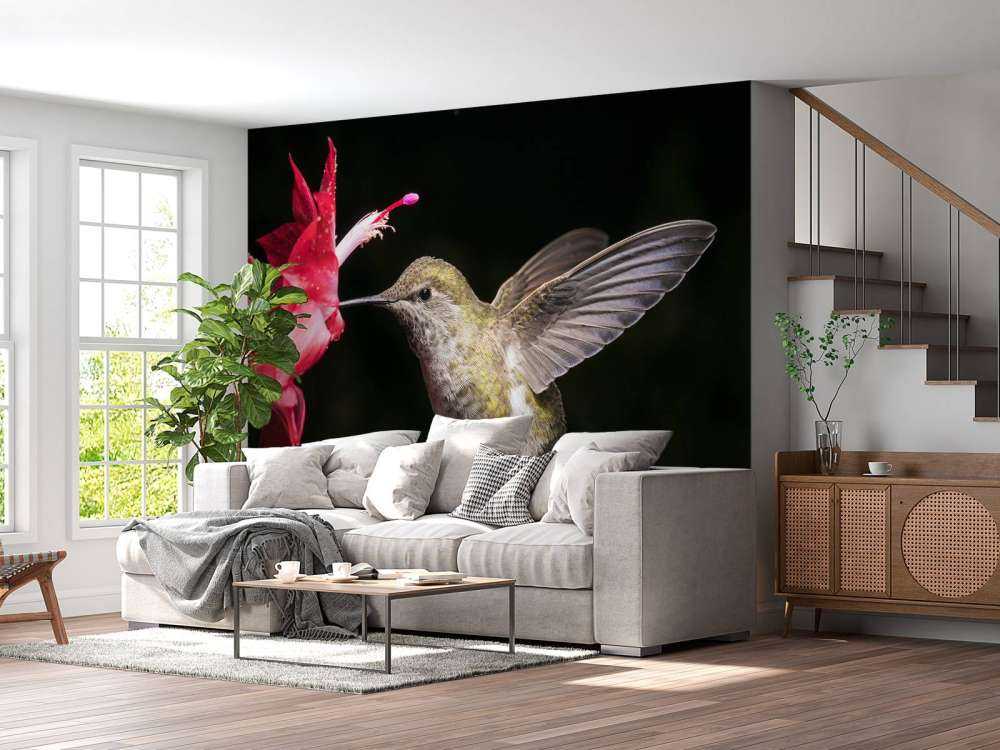 Colibrì con fiore rosso