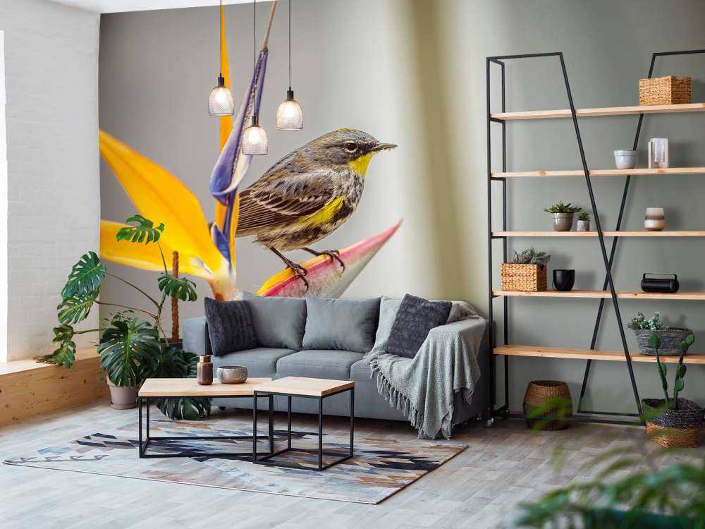 Fiore del paradiso con uccello