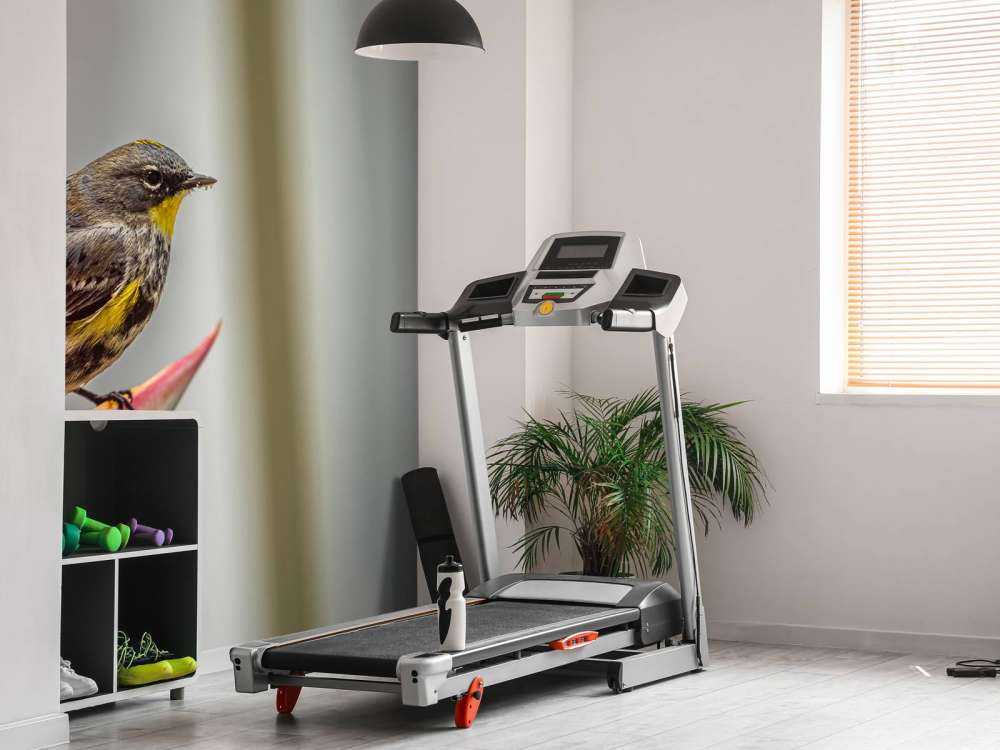 Fiore del paradiso con uccello