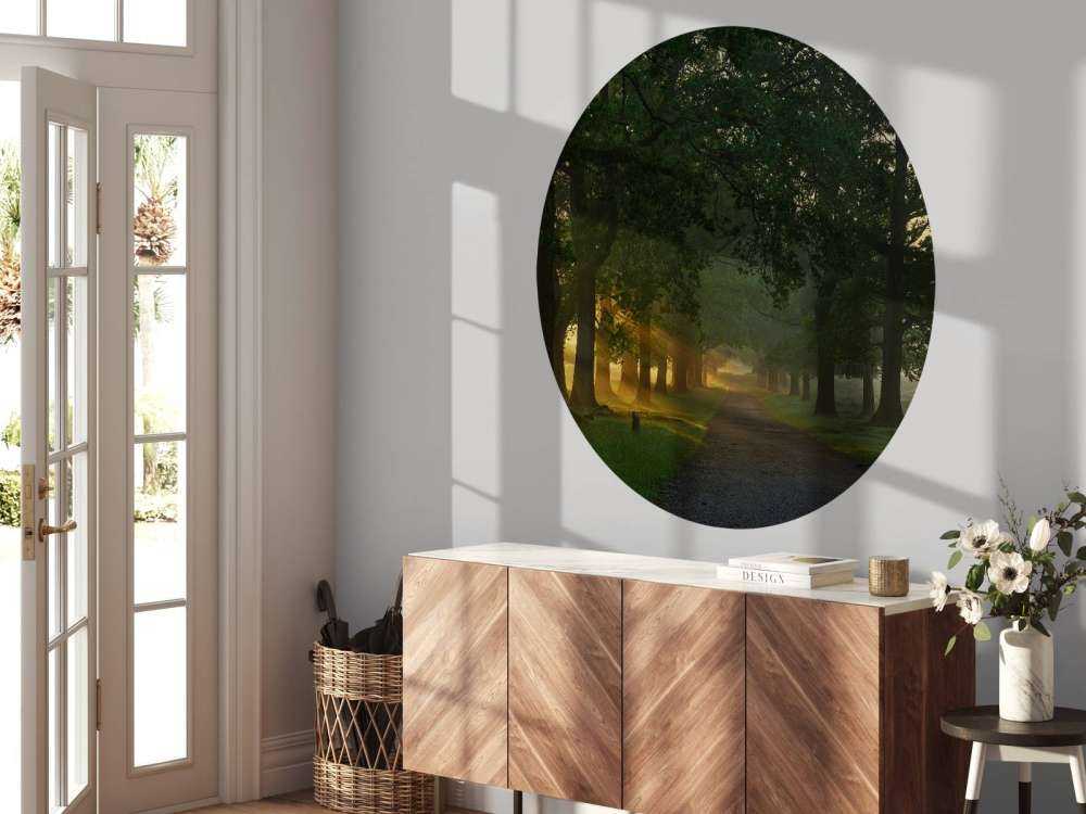 Sentiero senza fine con alberi