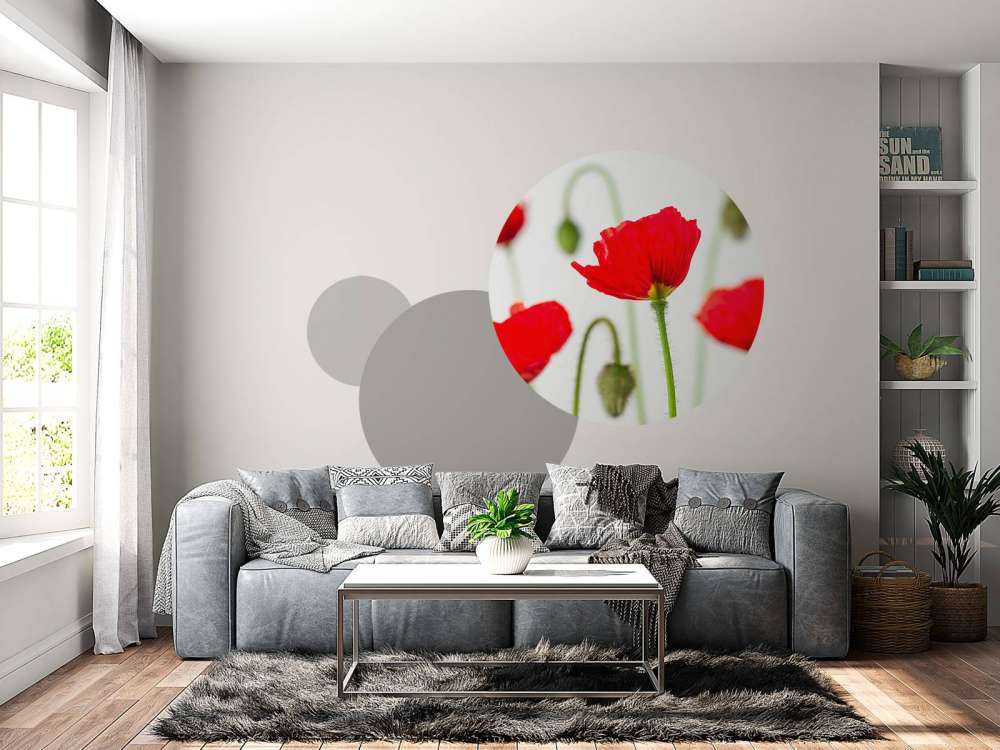 Papaveri rossi ravvicinati