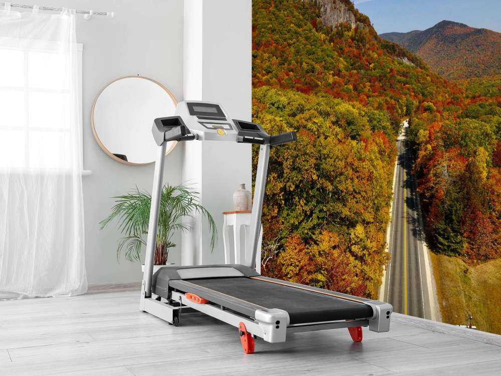 Strada attraverso il paesaggio autunnale