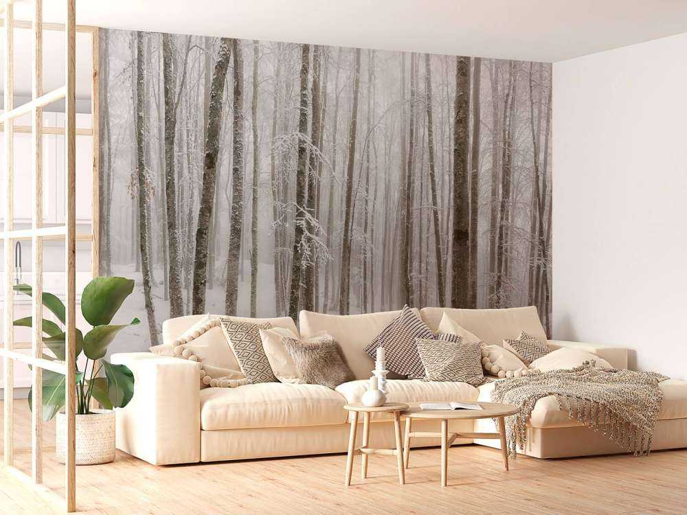 Foresta di faggio con neve