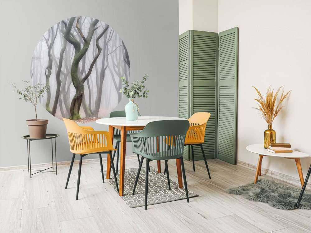 Early Morning Shuffle