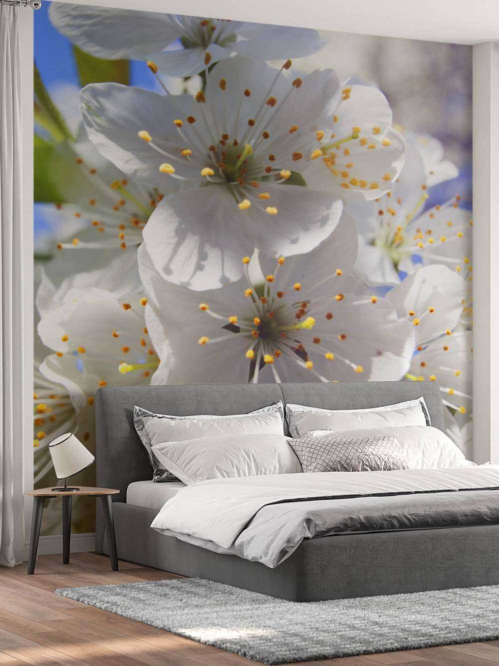 Fiori bianchi ravvicinati