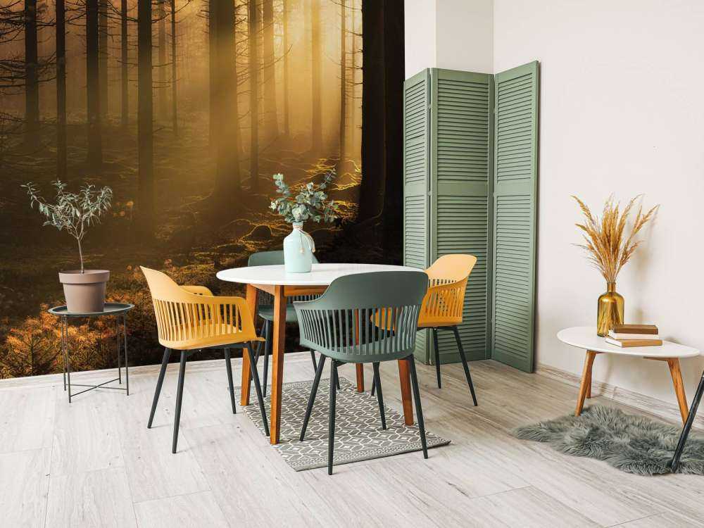 Scuro bosco autunnale