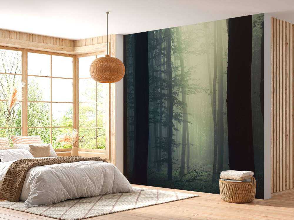 Raggio di sole nella foresta