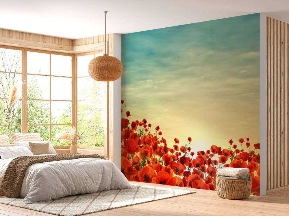 Papaveri con tramonto