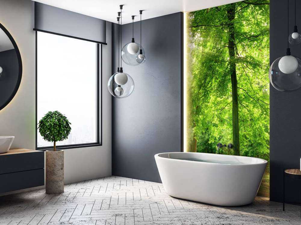 Foresta con nebbia leggera