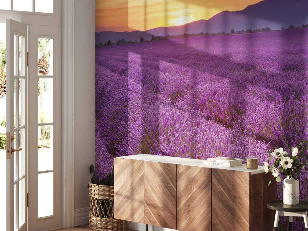 Campo pieno di lavanda