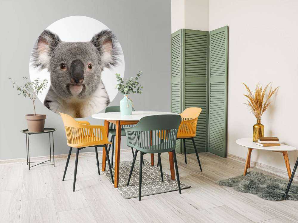 Foto di un koala