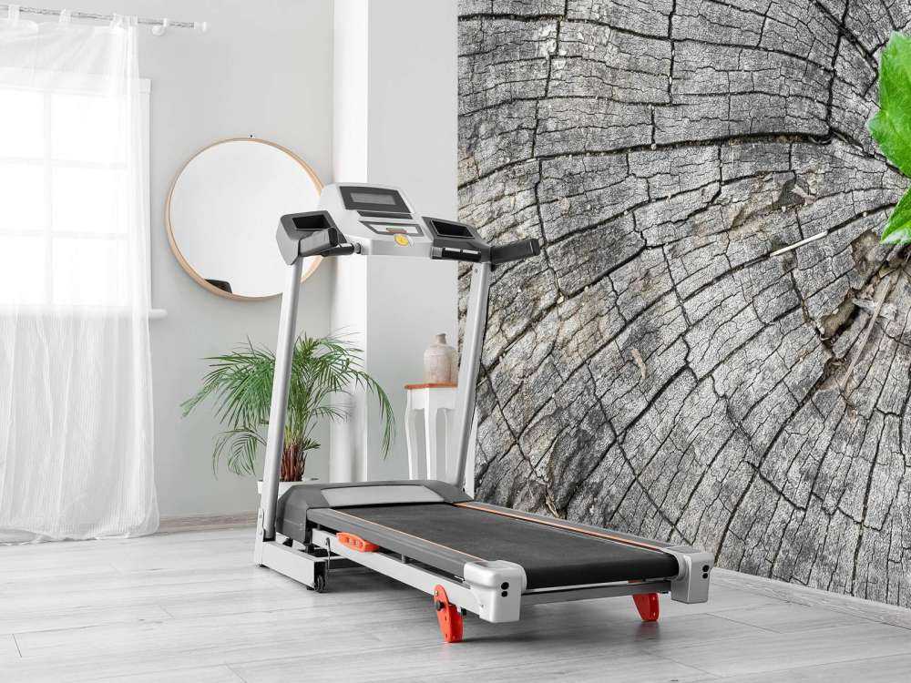 Diametro di un tronco d'albero 