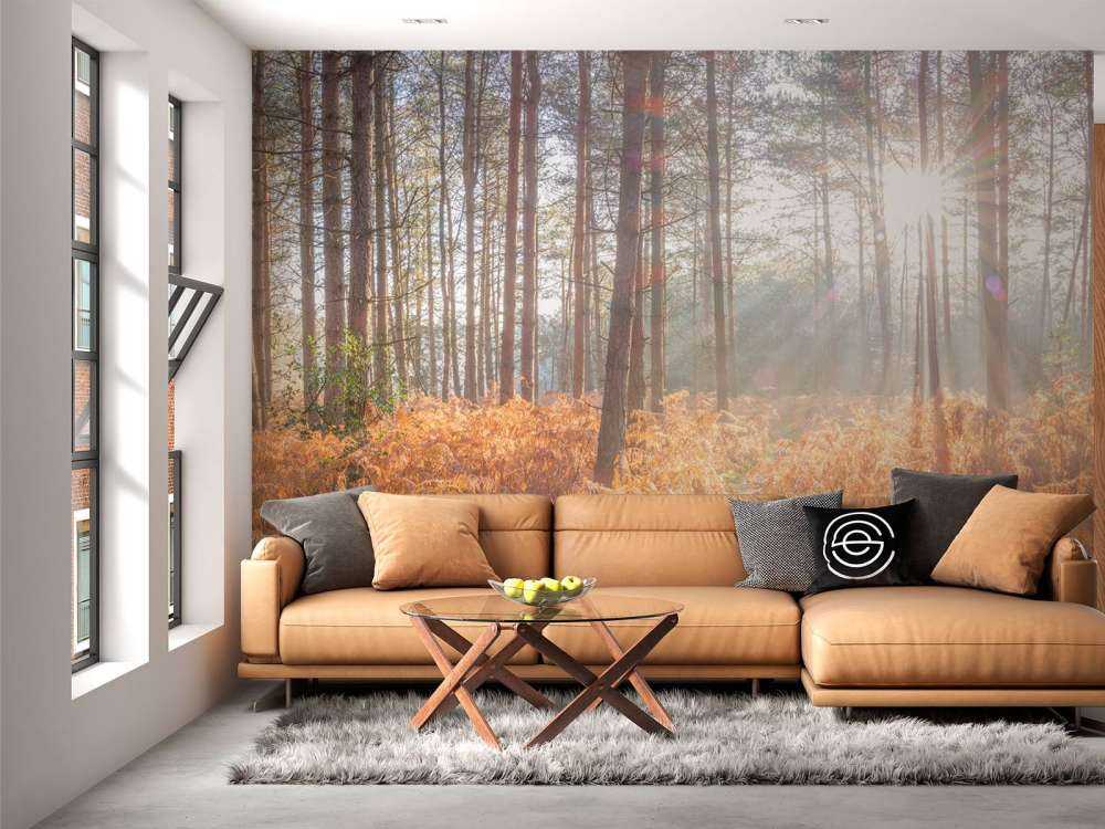 Raggi di sole attraverso la foresta