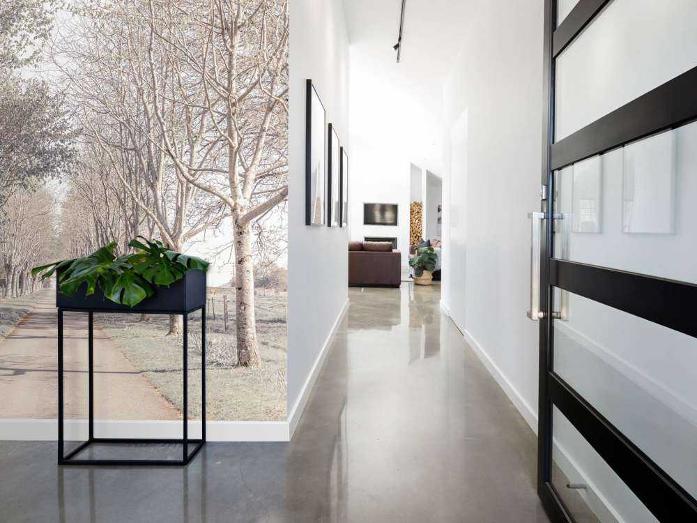 Sentiero tra gli alberi