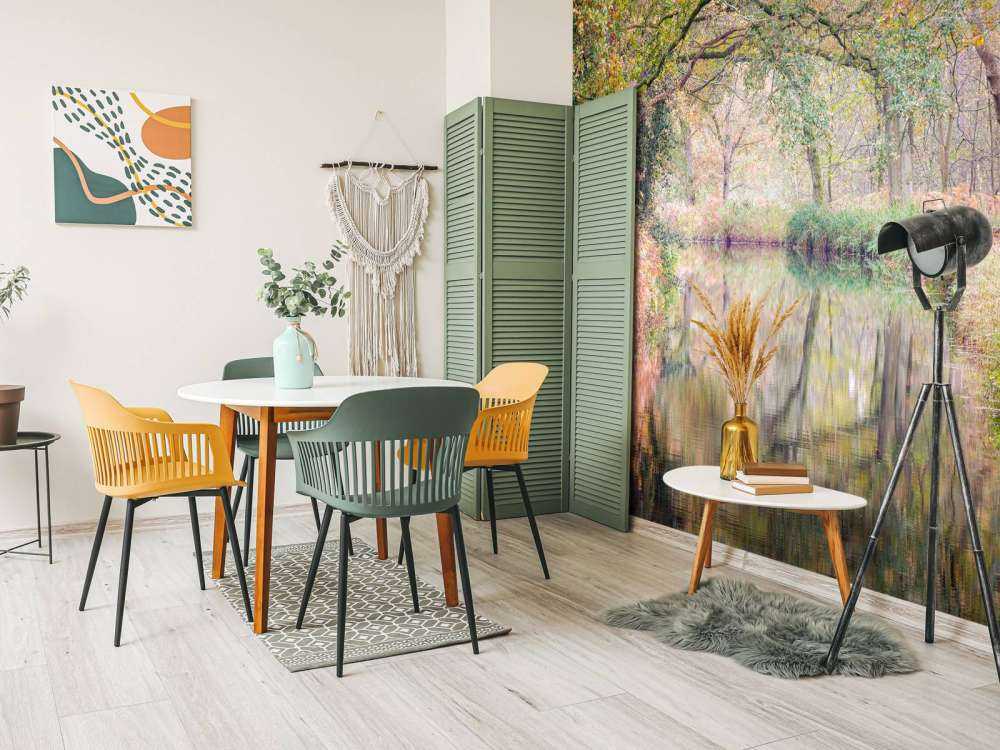 Foresta coperta e colorata