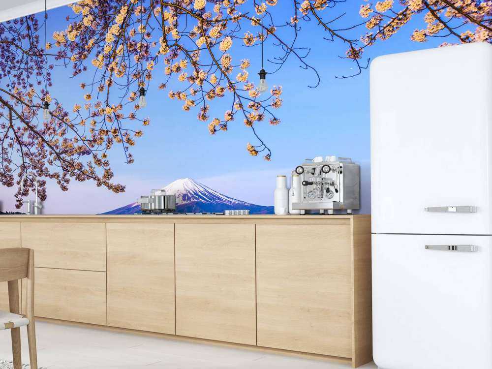 Il Monte Fuji in riva al mare