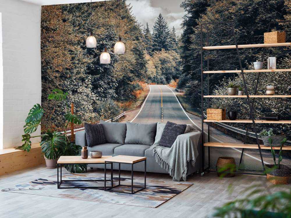 Foresta lungo una strada americana