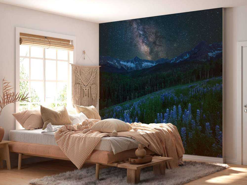 Milky Way over Lupine Slope