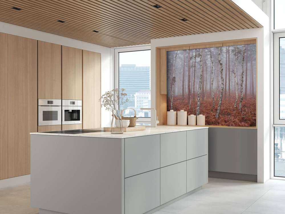 Foresta nebbiosa e deserta