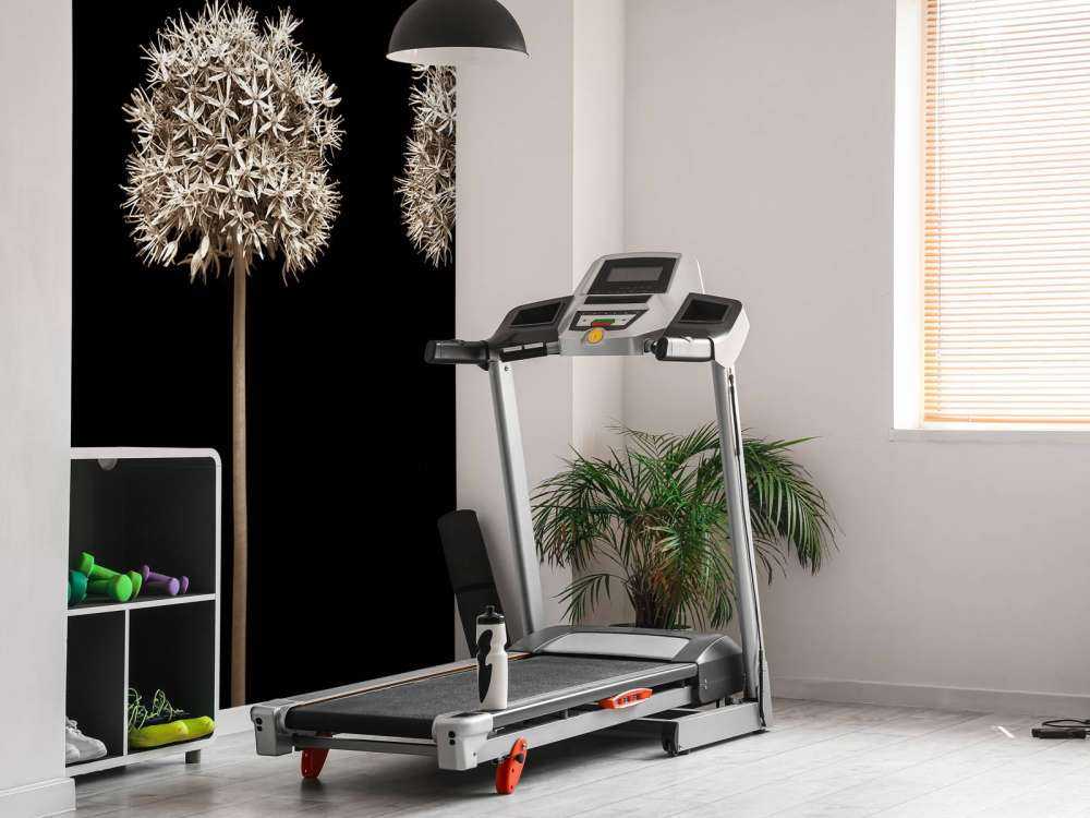 Tre fiori di allium in fila