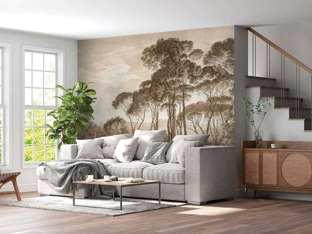 Paesaggio forestale vicino a Roma con il sole al tramonto