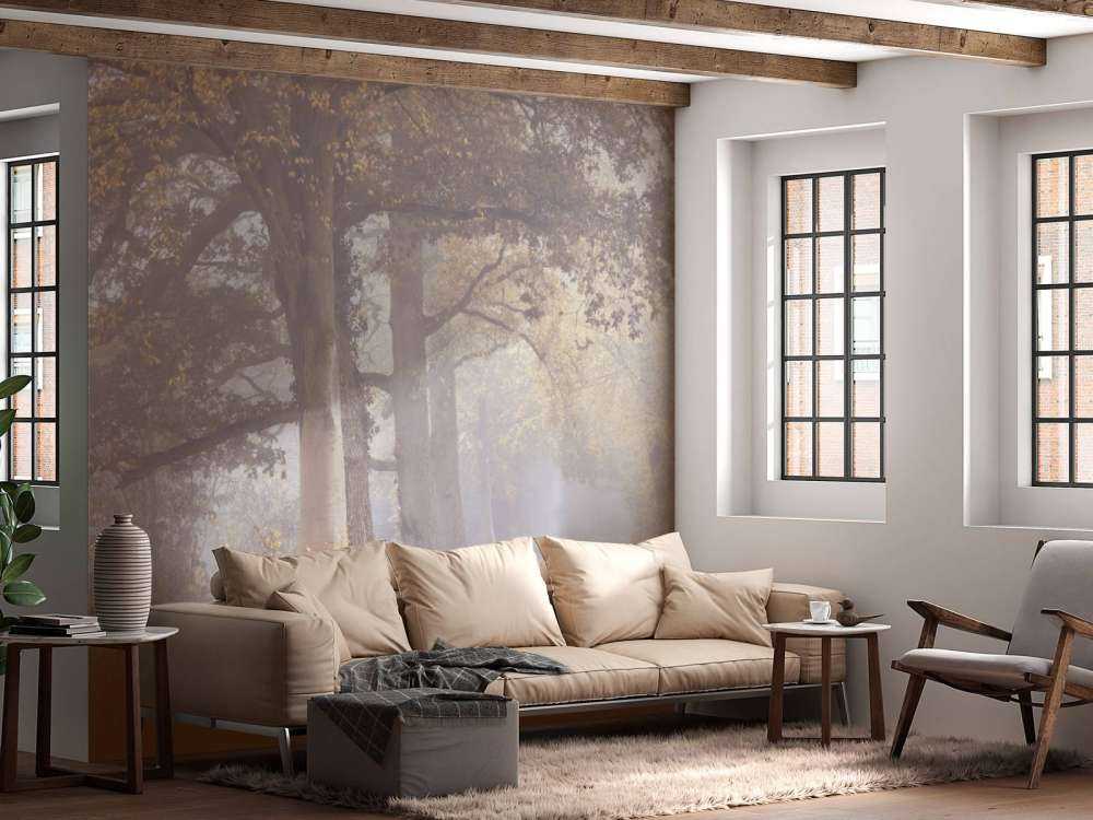 Strada nebbiosa con alberi