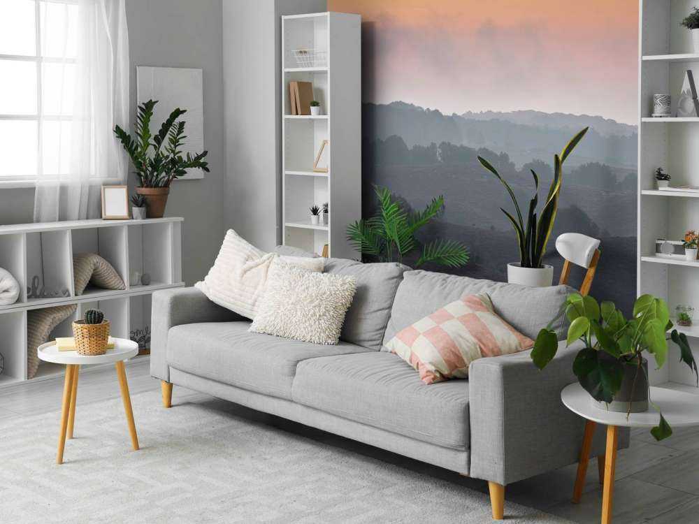 Alba nebbiosa sulla brughiera