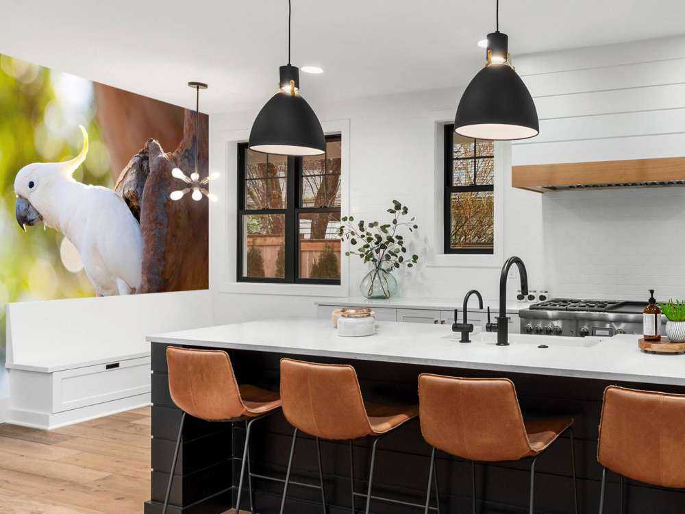 Cacatua in cavità dell'albero