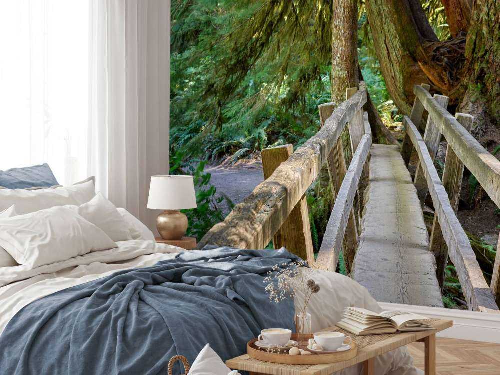 Ponte di legno attraverso la foresta 