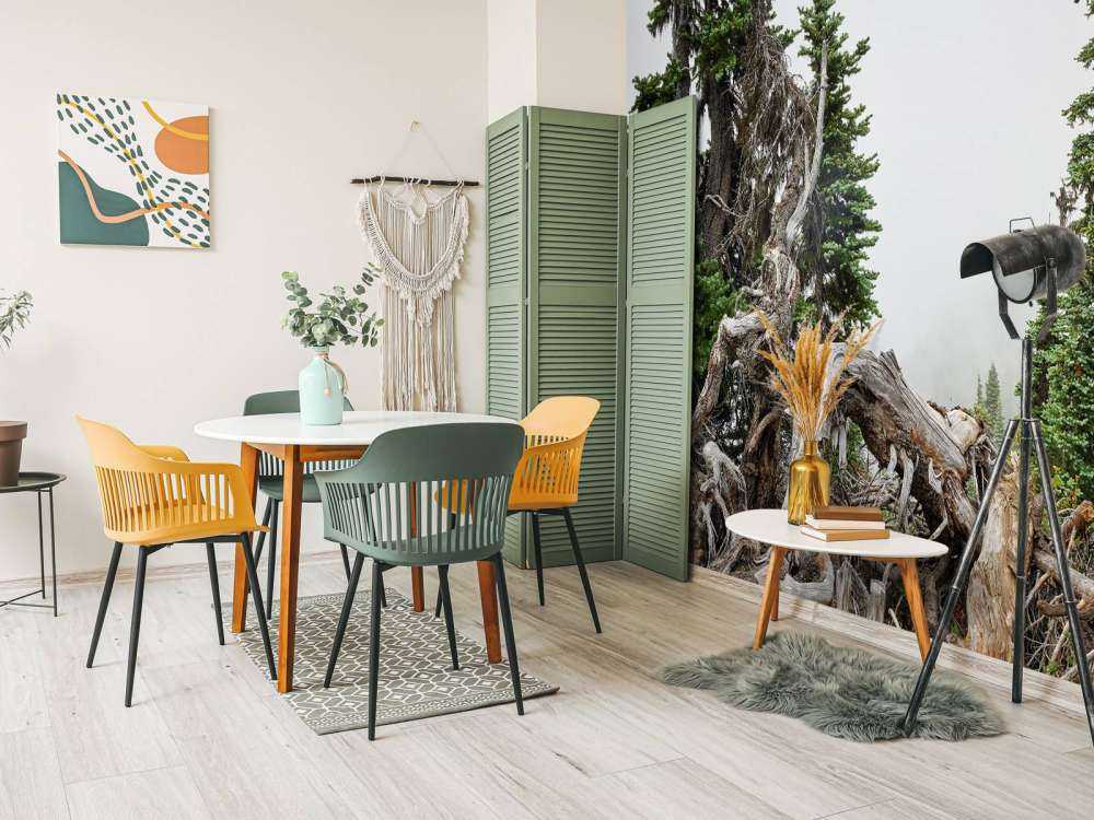 Alberi e vecchi alberi 