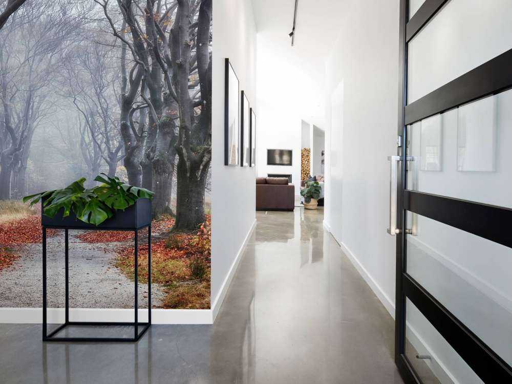 Alberi nella foresta