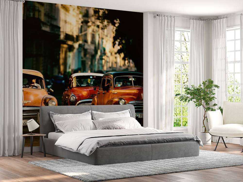 Come with me in the morning light