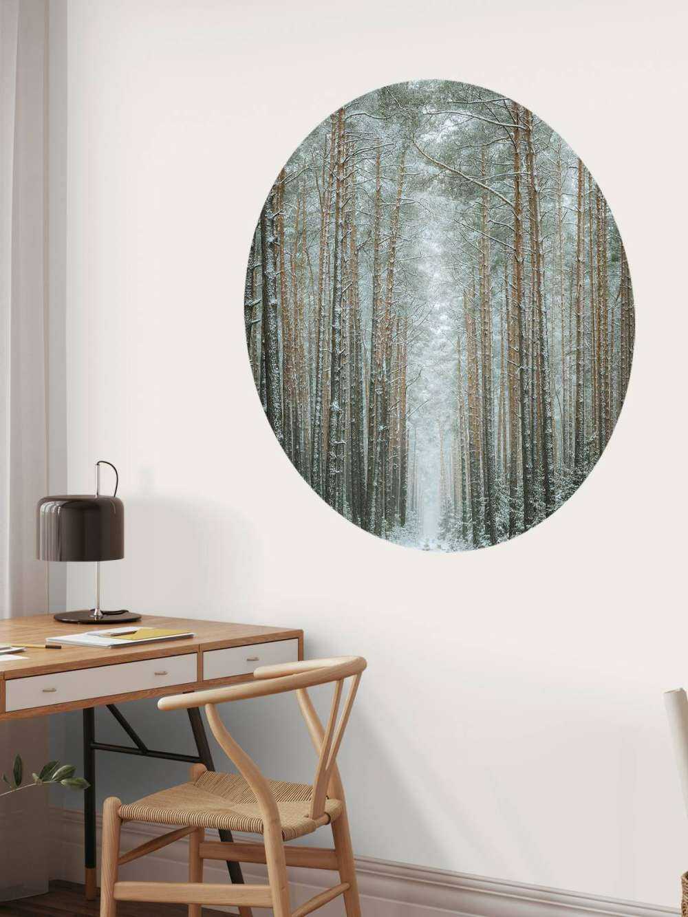 The winter forest road