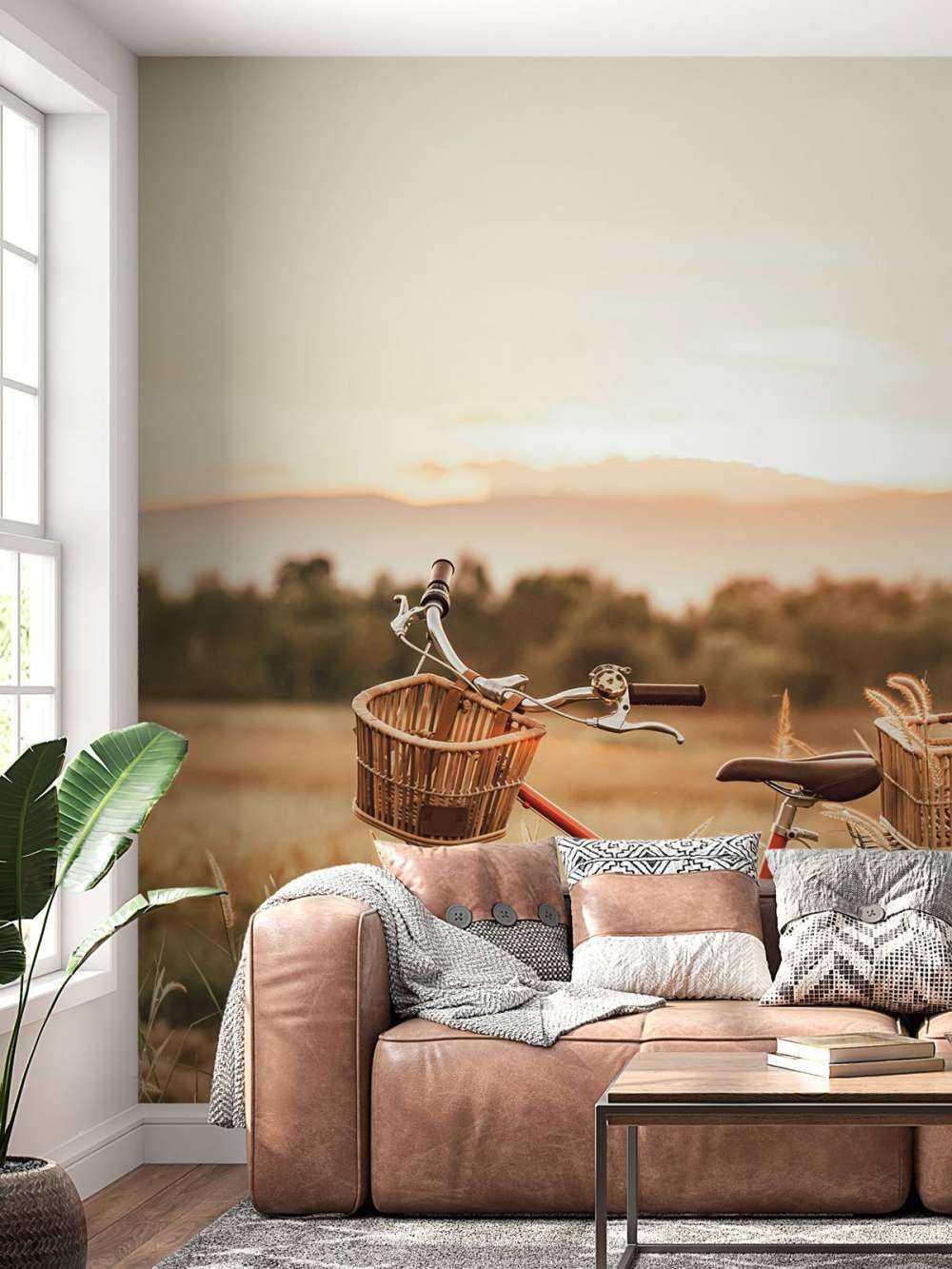 Bici d'epoca in estate