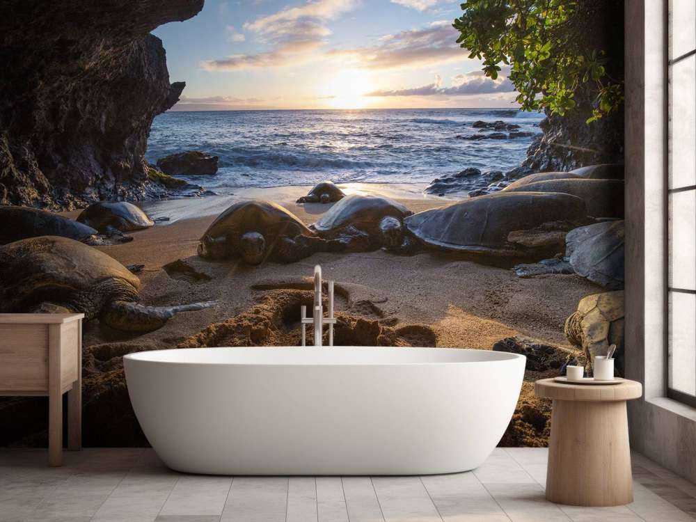 Tartarughe in una grotta