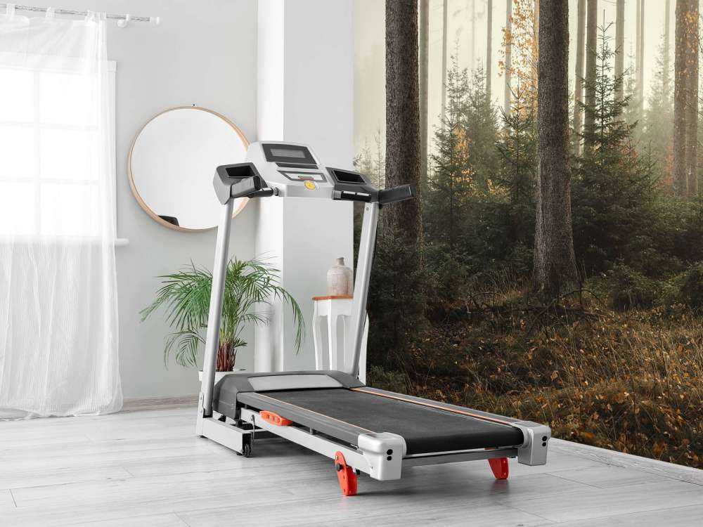 La foresta di Kaufunger