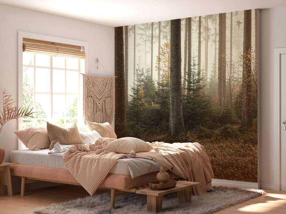 La foresta di Kaufunger