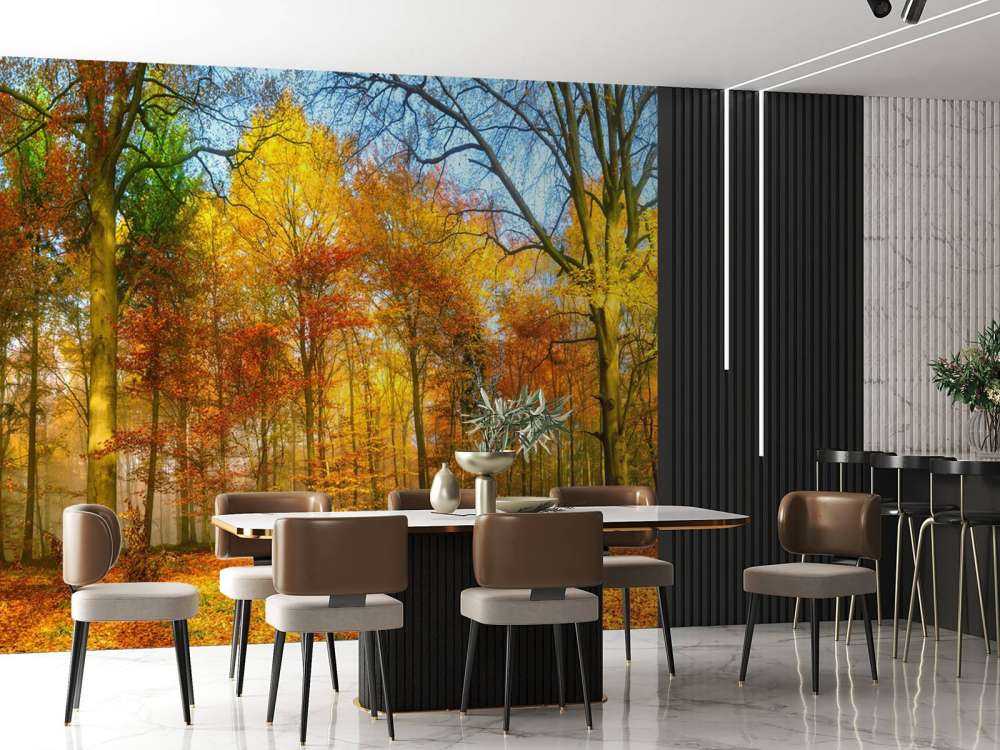 Panorama della foresta colorata