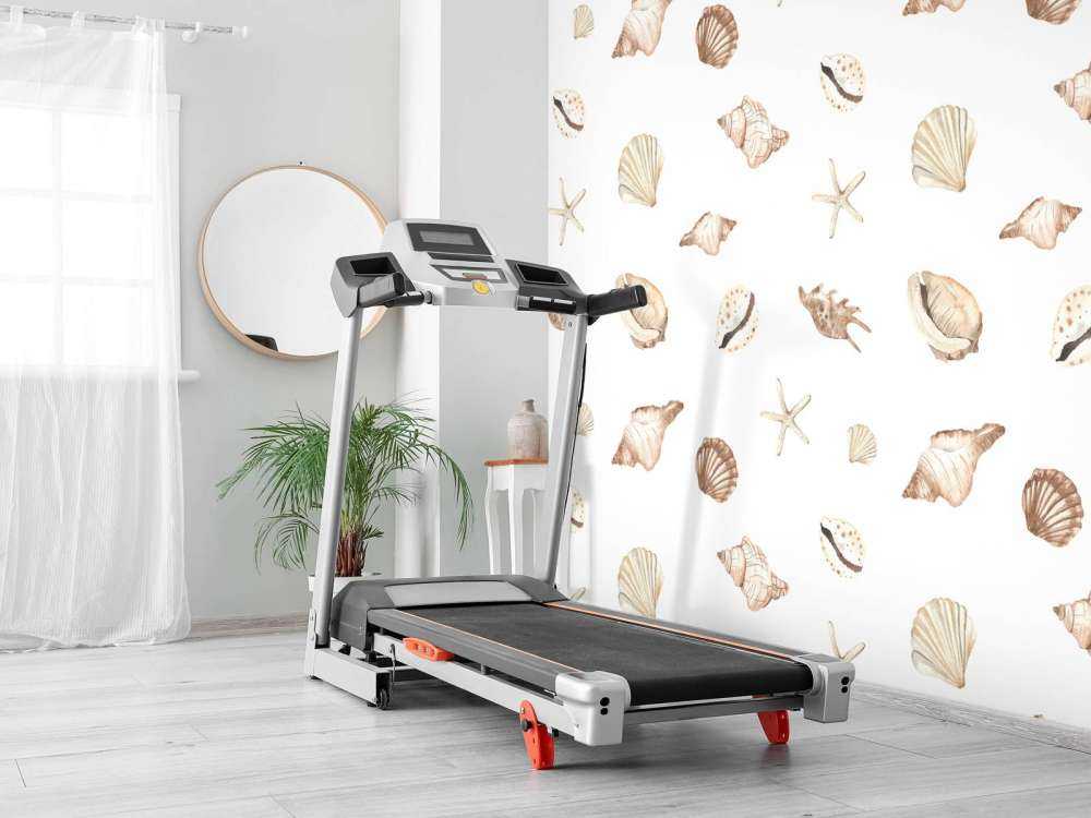 Acquerello conchiglie