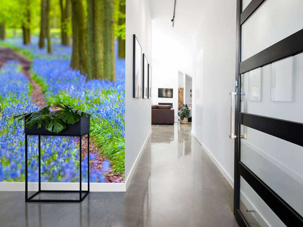 Bicicletta nella foresta