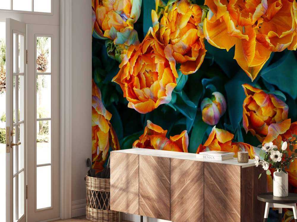 Tulipani arancioni ravvicinati