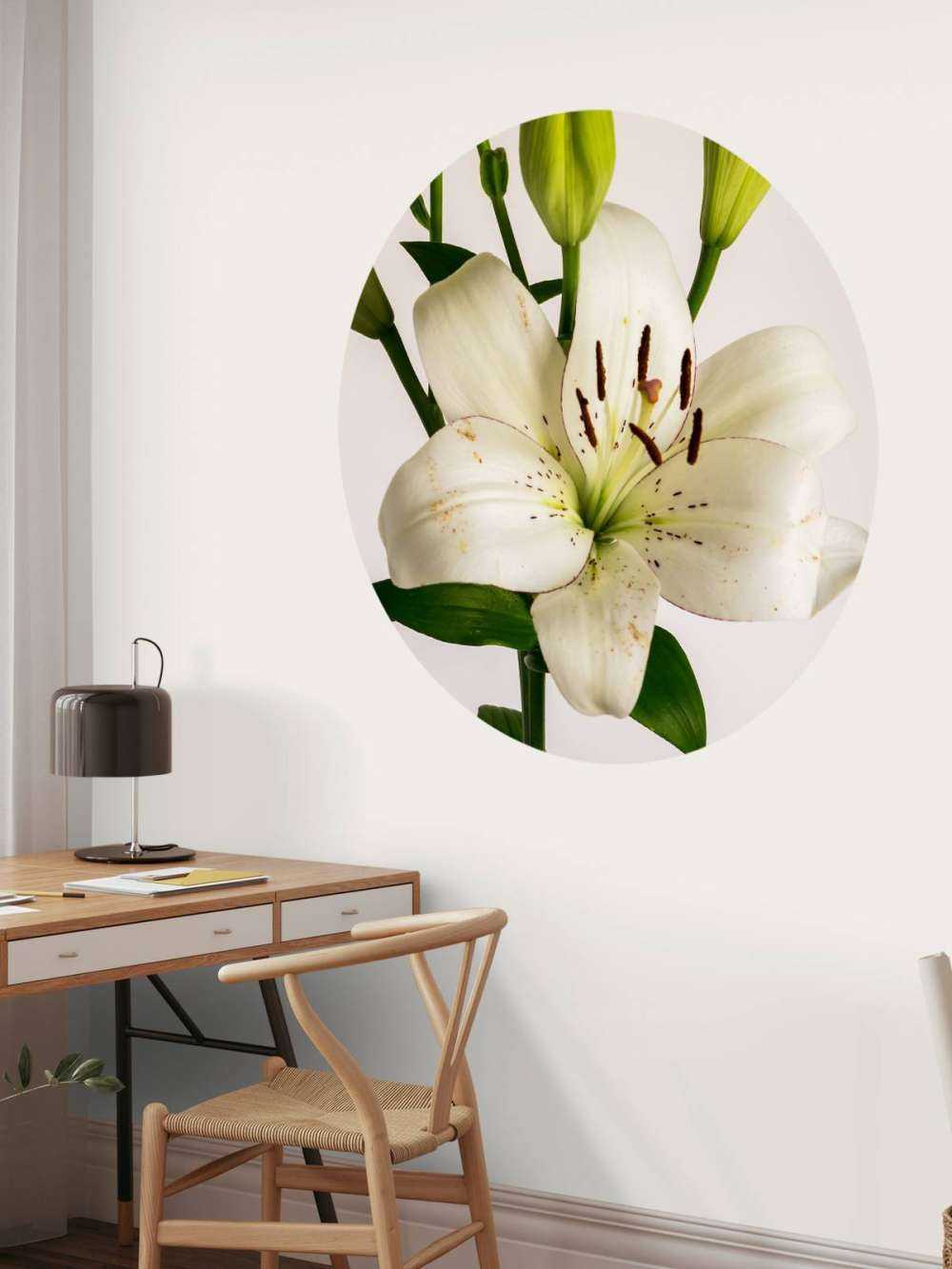 Fiore di giglio bianco