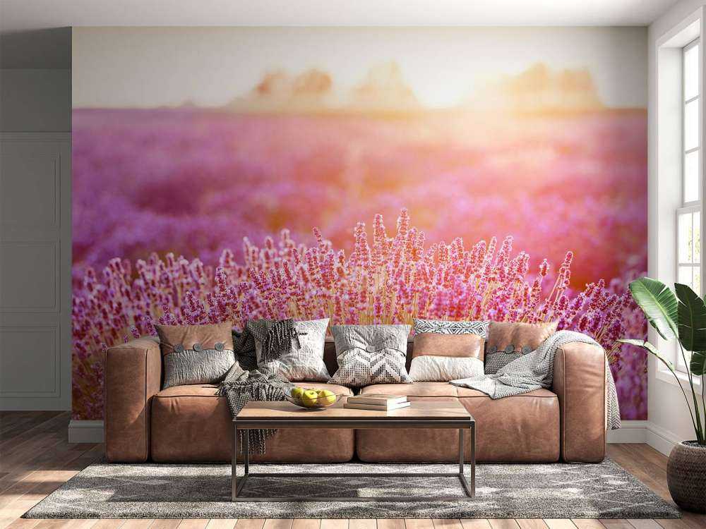 Fiori di lavanda ravvicinati