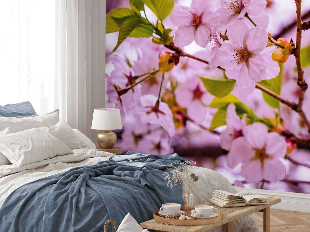 Fiori rosa con petali