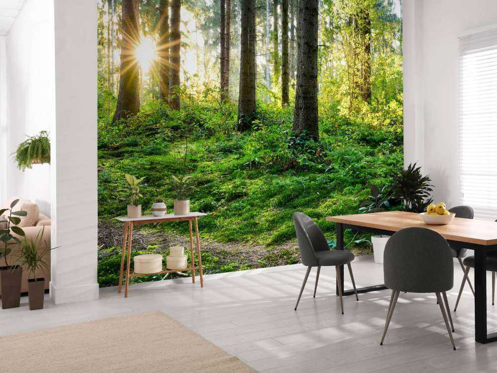 Panorama della foresta in primavera