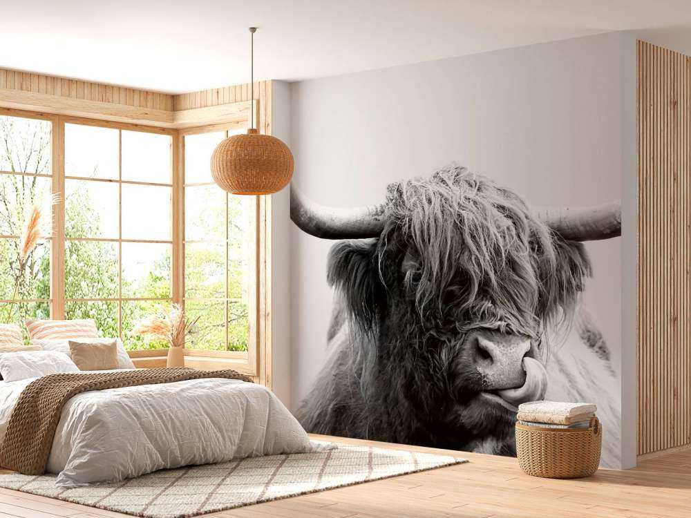 Divertente Highlander scozzese