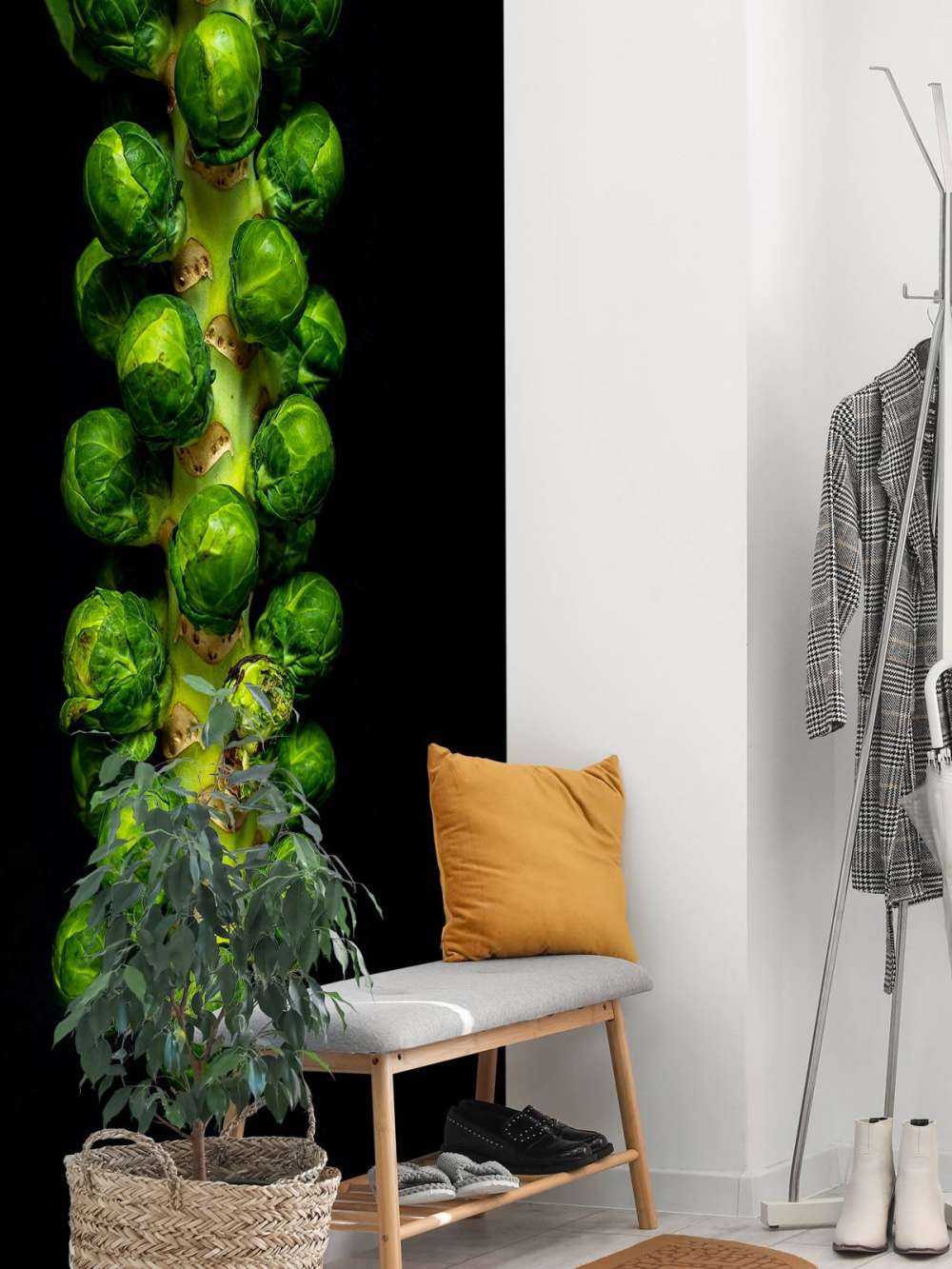 Cavolini di Bruxelles