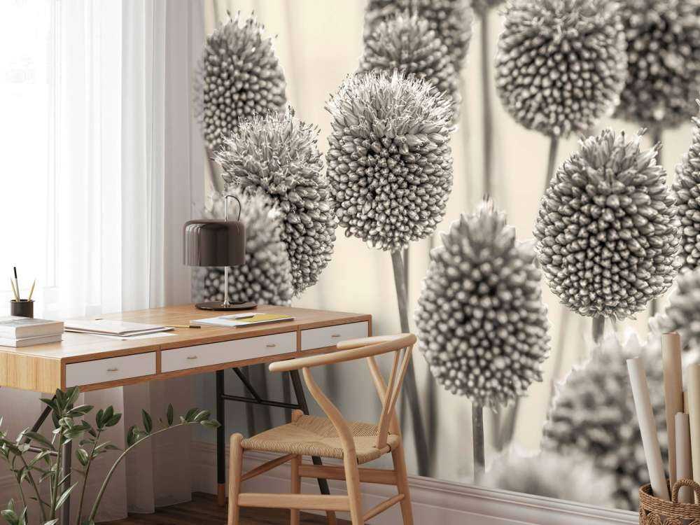 Allium flowers